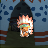 Sky-Gazing Native Tiny